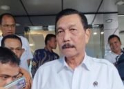luhut