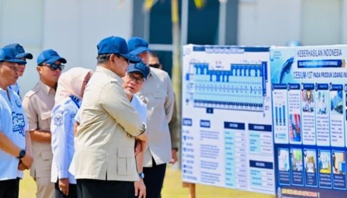 prabowo klaim indonesia sudah swasembada pangan, khusus jagung dan beras