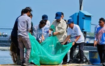 target indonesia jadi produsen udang nomor satu dunia