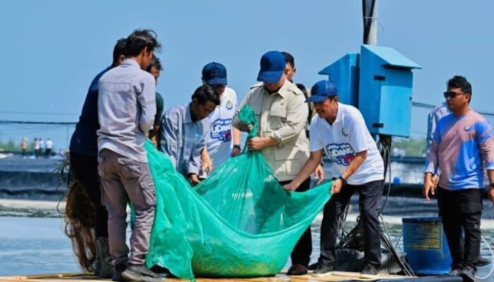 target indonesia jadi produsen udang nomor satu dunia