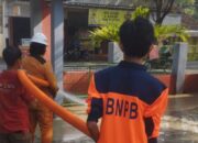 bnpb