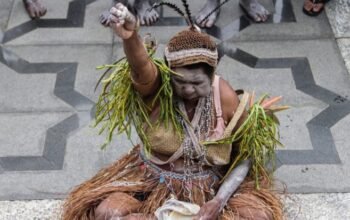Koalisi ham papua: segera pulihkan hak mama yasinta, korban dampak psn merauke papua
