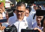 ronald a sinaga