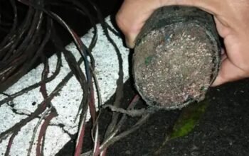 maling kabel