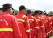 sumsel apel siaga karhutla