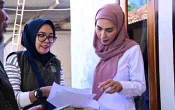 wakil ketua dpr ri, sari yuliati, menyebut pemerintah menargetkan pembangunan dan perbaikan hingga 3 juta rumah layak huni sampai 2029. setiap tahun, program tersebut diproyeksikan menjangkau sekitar 400 ribu rumah tidak layak huni (rtlh) di seluruh indonesia.