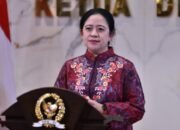 Ketua dpr ri minta pemerintah transparan soal hantavirus untuk cegah kepanikan ketua dpr ri, puan maharani, meminta pemerintah segera memberikan informasi yang akurat dan cepat terkait hantavirus yang belakangan menjadi perhatian publik. langkah ini dinilai penting untuk menjaga ketenangan masyarakat sekaligus mencegah kepanikan.
