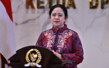 Ketua dpr ri minta pemerintah transparan soal hantavirus untuk cegah kepanikan ketua dpr ri, puan maharani, meminta pemerintah segera memberikan informasi yang akurat dan cepat terkait hantavirus yang belakangan menjadi perhatian publik. langkah ini dinilai penting untuk menjaga ketenangan masyarakat sekaligus mencegah kepanikan.