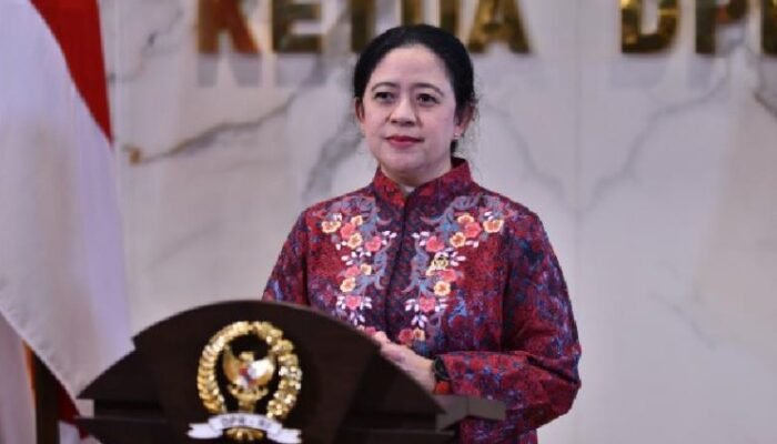 ketua dpr ri minta pemerintah transparan soal hantavirus untuk cegah kepanikan