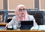 anggota dpr sikapi pengungkapan sindikat judi online transnasional