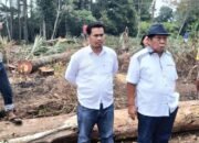 anthon sihombing pertanyakan sp3 kasus pengrusakan lahan pinus di taput