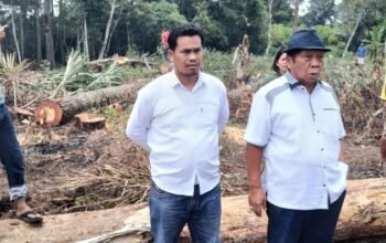 anthon sihombing pertanyakan sp3 kasus pengrusakan lahan pinus di taput