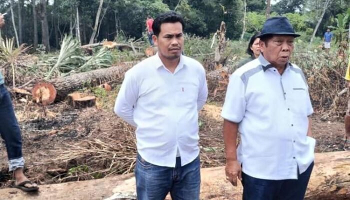 anthon sihombing pertanyakan sp3 kasus pengrusakan lahan pinus di taput