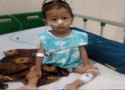 arisha, balita deli serdang penderita kebocoran jantung butuh bantuan ke jakarta