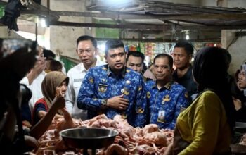 Stok minyakita di sumut aman dan harga stabil, pemprov pastikan distribusi lancar stok minyakita di sumut aman dan harga stabil, pemprov pastikan distribusi lancar
