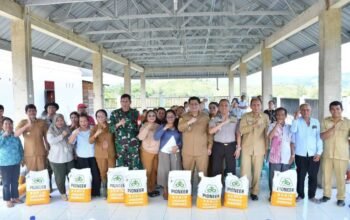 bupati samosir serahkan bibit jagung untuk pengembangan lahan 40 hektare