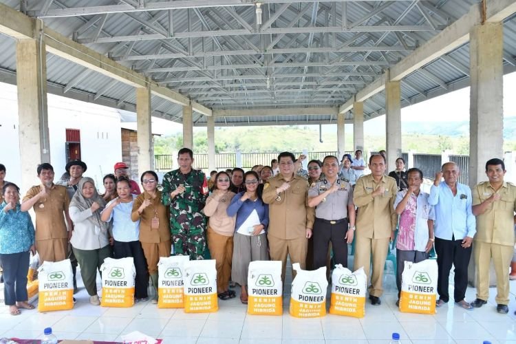 bupati samosir serahkan bibit jagung untuk pengembangan lahan 40 hektare