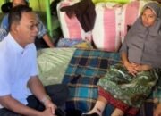ibu viral ditandu 25 kilometer dijenguk bupati tapsel, akses jalan terkendala hutan lindung