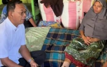 ibu viral ditandu 25 kilometer dijenguk bupati tapsel, akses jalan terkendala hutan lindung