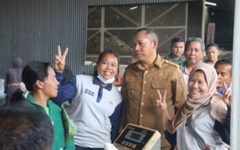 bupati taput dorong kopi lokal go international, tinjau produksi di siborongborong