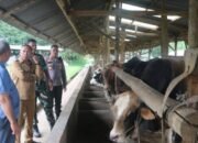 Bupati taput tinjau produksi pupuk organik cair untuk dukung pertanian terpadu di siborongborong bupati taput tinjau produksi pupuk organik cair untuk dukung pertanian terpadu di siborongborong