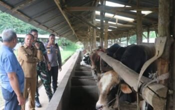 bupati taput tinjau produksi pupuk organik cair untuk dukung pertanian terpadu di siborongborong