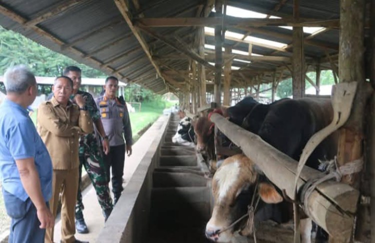 Bupati Taput Tinjau Produksi Pupuk Organik Cair untuk Dukung Pertanian Terpadu di Siborongborong
