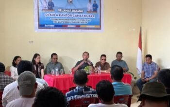Eceng gondok danau toba diolah jadi pupuk organik, petani taput bisa hemat biaya eceng gondok danau toba diolah jadi pupuk organik, petani taput bisa hemat biaya
