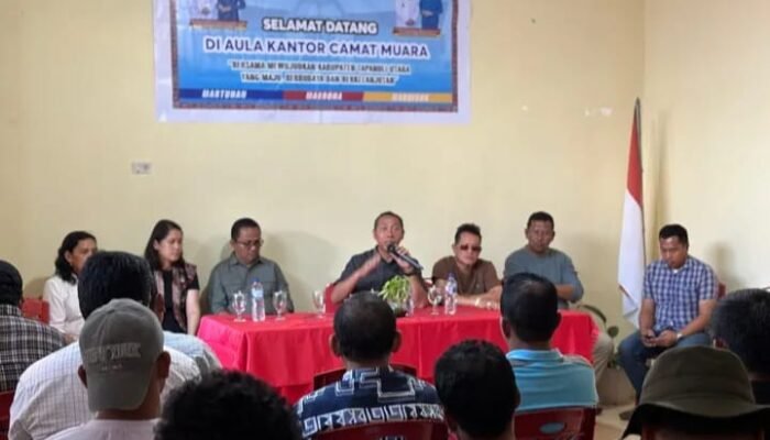 eceng gondok danau toba diolah jadi pupuk organik, petani taput bisa hemat biaya
