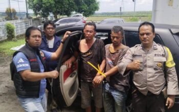 pencurian anak lembu di simalungun berakhir tragis, mobil pelaku ringsek tabrak motor