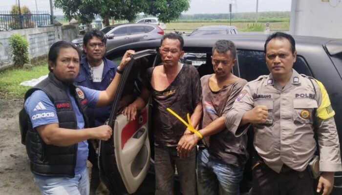 pencurian anak lembu di simalungun berakhir tragis, mobil pelaku ringsek tabrak motor
