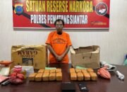 bawa 7,17 kg ganja naik vespa, pria di pematangsiantar ditangkap polisi