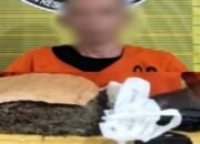 kabur bawa ganja 900 gram, pria di padangsidimpuan ditangkap polisi