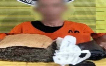 kabur bawa ganja 900 gram, pria di padangsidimpuan ditangkap polisi