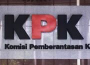 icw pertanyakan lhkpn 39 pejabat kabinet prabowo yang belum tampil
