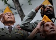 daftar hari besar 19 mei 2026: hari korps cacat veteran hingga hari dokter keluarga sedunia