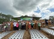 bupati taput setujui traktor dan pembangunan irigasi untuk lahan tidur di parhorboan