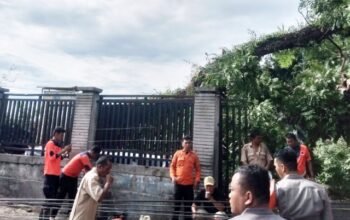 kota pematangsiantar diguyur hujan deras disertai angin kencang pada senin dini hari (11/5/2026). dampaknya, satu pohon tumbang, joglo kantor lurah dan pagar kuburan, rusak.