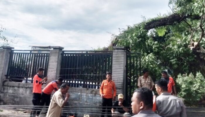 hujan deras dan angin kencang di siantar, pohon tumbang, kantor lurah dan pagar kuburan rusak