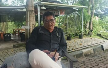 boyke pane soroti manuver politik di gerindra siantar, isu penunjukan ketua dpc jadi perbincangan hangat