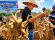 wabup tapsel tegaskan ketahanan pangan bukan sekadar agenda seremonial