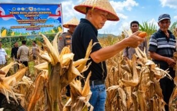 wabup tapsel tegaskan ketahanan pangan bukan sekadar agenda seremonial