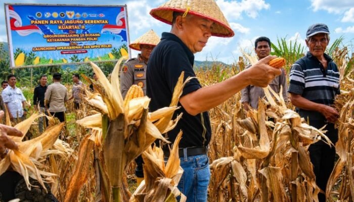 wabup tapsel tegaskan ketahanan pangan bukan sekadar agenda seremonial
