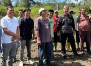 wabup taput tinjau pembangunan jaringan listrik di bahal batu ii