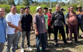 wabup taput tinjau pembangunan jaringan listrik di bahal batu ii