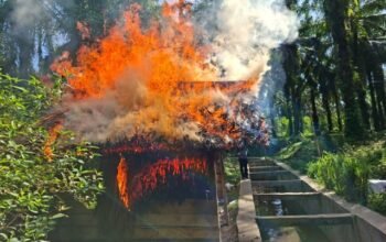 diduga tempat transaksi sabu, gubuk di tanah jawa dibakar hingga rata dengan tanah