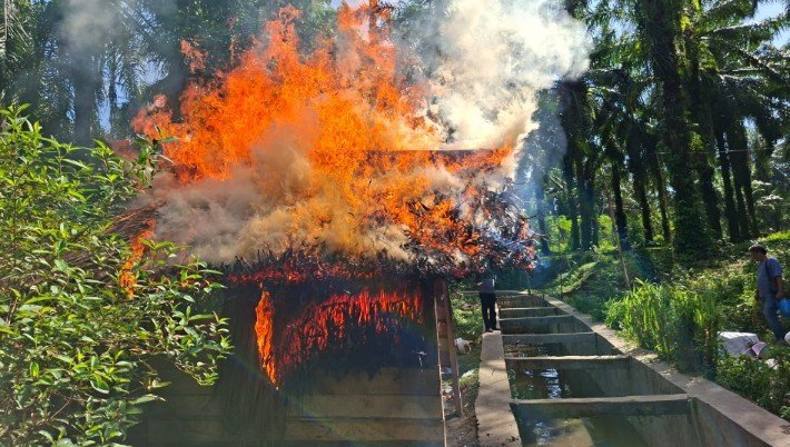 diduga tempat transaksi sabu, gubuk di tanah jawa dibakar hingga rata dengan tanah