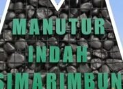 dirut klaim perumahan manutur indah simarimbun tidak berada di lahan pertanian