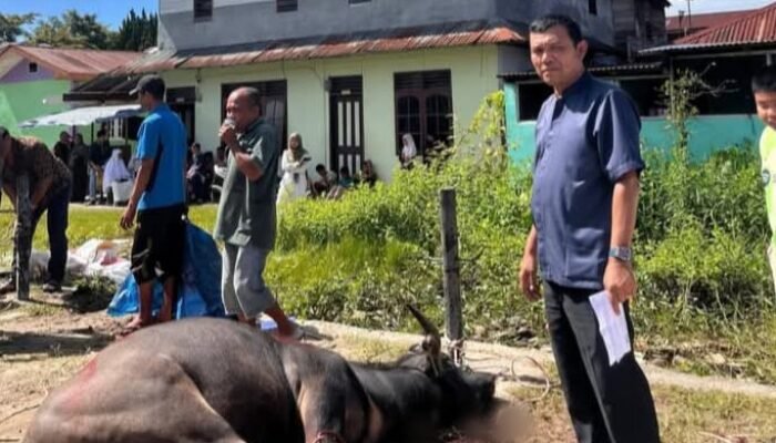 rm gumarang tarutung serahkan hewan kurban untuk idul adha 1447 h