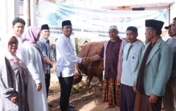 wabup dairi serahkan sapi kurban bantuan presiden di gunung sitember